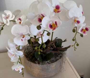 Zevenhuizen Maison | Casa Bep