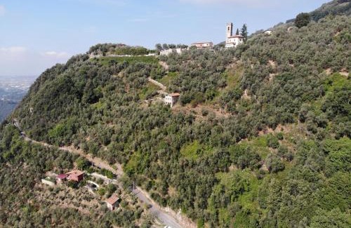 Greppolungo Maison | Casa Berti - Urlaub im Olivenhain