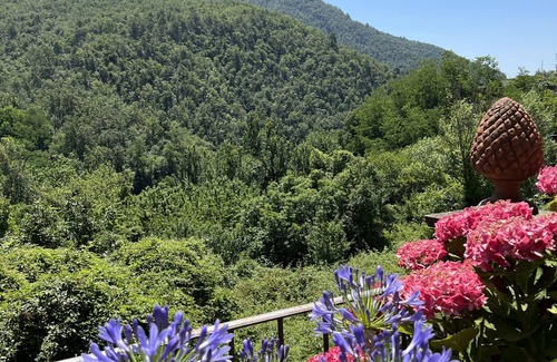 Calice al Cornoviglio Maison | Casa Boru - a beautiful fully restored spacious house with fantastic views