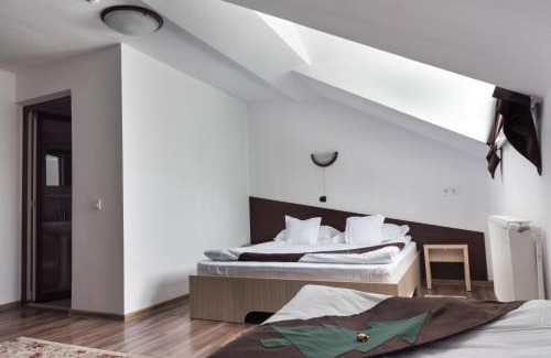 Gura Humorului Maison | Casa Bradul Voronet