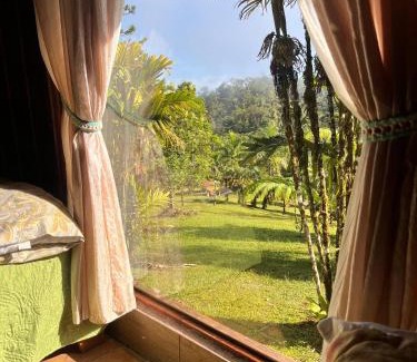 Quebrada La Gamba Maison | Casa Bromelia
