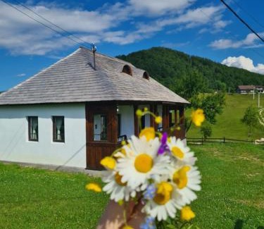Dambovicioara Maison | Casa Bunicilor Ciocanu