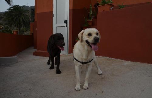 Vallehermoso Maison | Casa Camilo