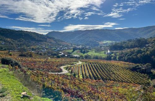 A Teixeira Maison | Casa Catalina - Ribeira Sacra