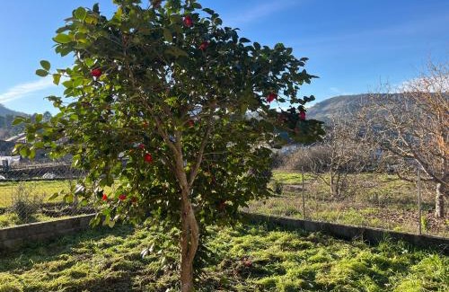 A Teixeira Maison | Casa Catalina - Ribeira Sacra