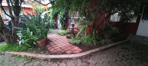 Morelia Hôtel | Casa Celia