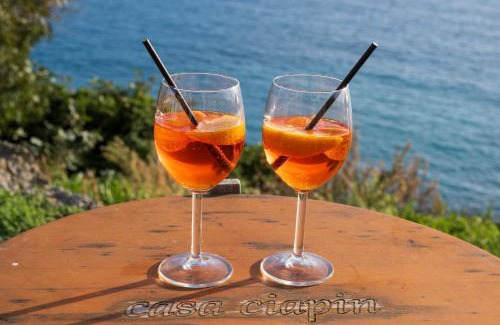 Piani-Ciapin Appartement | casa Ciapin