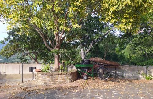 Ogliastro Cilento Appartement | Casa Cilento - Appartamento per locazione turistica