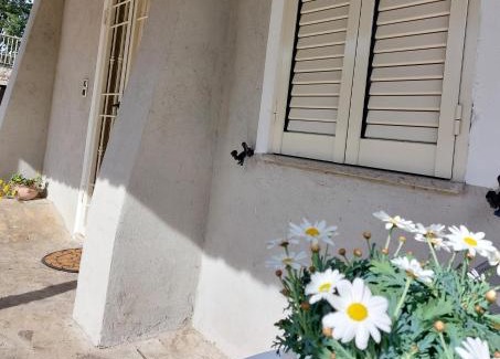 Fratta Maison | Casa civico22