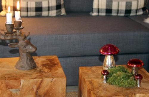 Tiefenbach Appartement | Casa Claudia - die schöne 4-Sterne-Fewo - im Sommer Bergbahntickets inclusive
