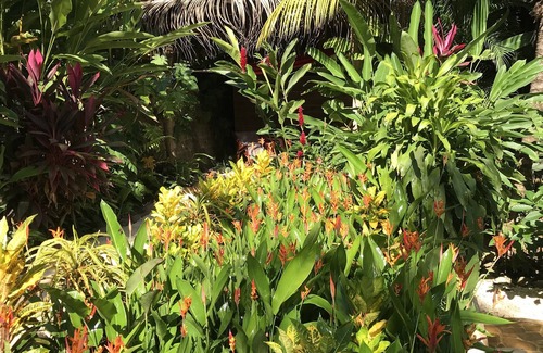 Montezuma Maison | CASA COLIBRI