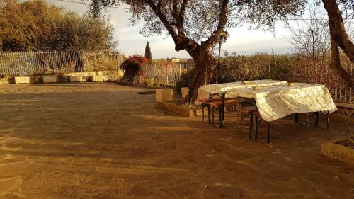 Terranuova Bracciolini Maison | Casa con piscina camino e biliardo