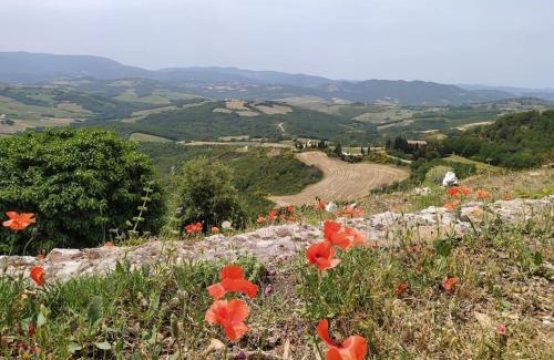 Monteguidi Appartement | Casa Contadina in borgo medievale, Tuscany