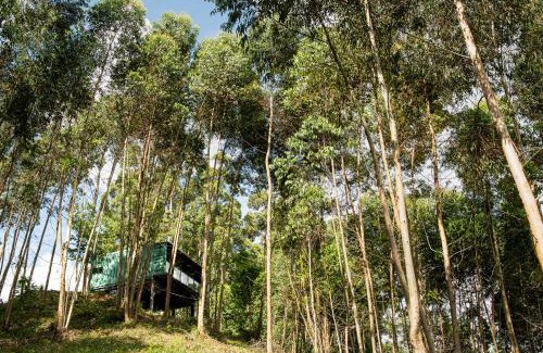 Flores da Cunha Maison | Casa Container FIGO em meio a natureza na Serra Gaúcha