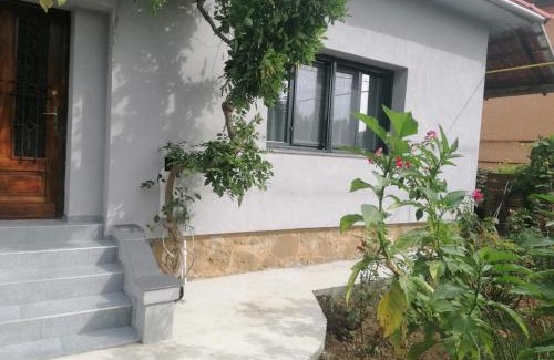 Baia Mare Villa | Casa cu trandafiri