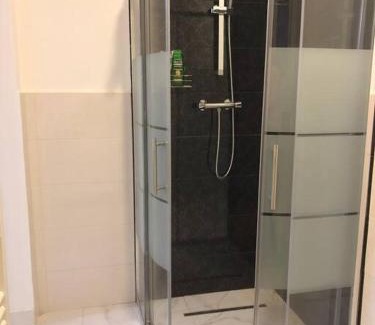 Baia Mare Villa | Casa cu trandafiri