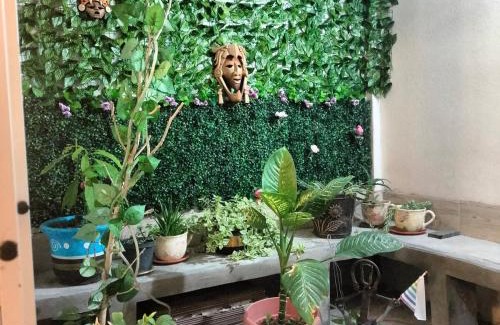 Mineral de la Reforma Maison | Casa Cualli