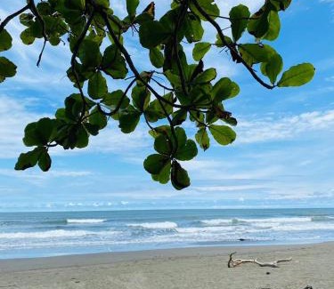 Parrita Appartement | Casa début Surf Place