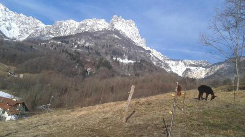 Recoaro Terme Maison | Casa da 2 a 7 posti nelle Piccole Dolomiti