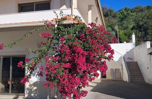 Juncal Maison | Casa da Anita