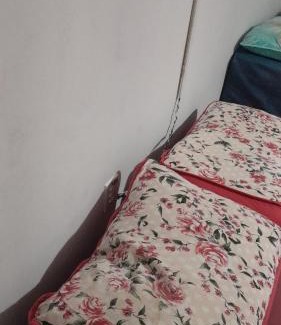 Jardim das Hortensias Maison | Casa da Família Carvalho Teixeira