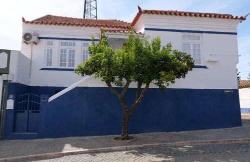 Avis Maison | Casa da Livraria - Boutique da Cultura