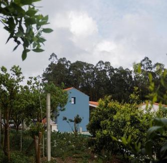 Troviscal Lit Et Petit-Déjeuner | Casa da Milheira - Agroturismo