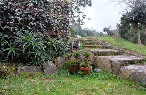 Serra Cottage | Casa da Ruiva - Pour se détendre et profiter de la nature