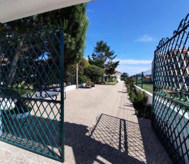 Aveiro Maison | Casa das Camélias