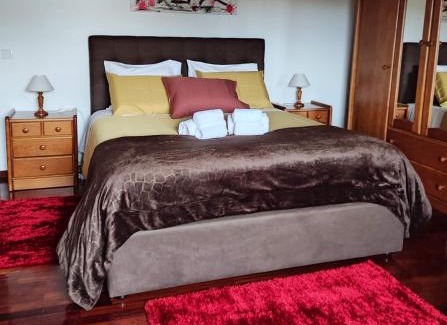 Viseu Appartement | Casa das Camélias