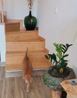 Vila Ca Maison | Casa das Cucas