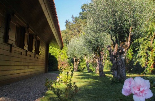 Freixieiro de Soutelo Maison | Casa das Oliveiras - Rustic style villa in an incredible location