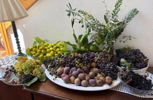 Manteigas Maison | Casa das Oliveiras - Manteigas