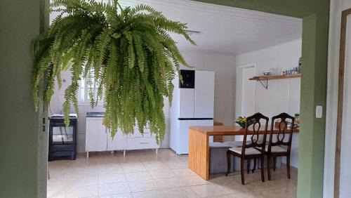 Gravatal Maison | Casa das Plantas
