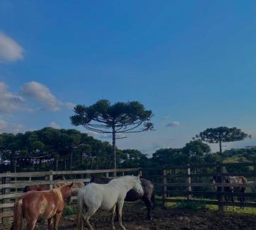 Bom Jardim da Serra Maison | Casa de Campo Fazenda Invernada Grande