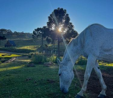 Bom Jardim da Serra Maison | Casa de Campo Fazenda Invernada Grande
