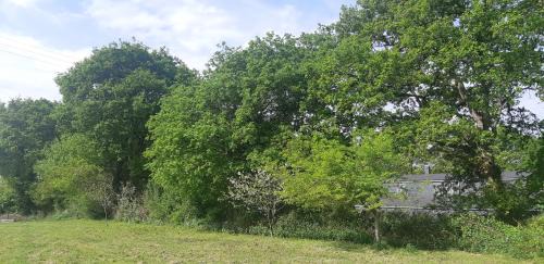 Cospeito Maison | Casa de Corbelle