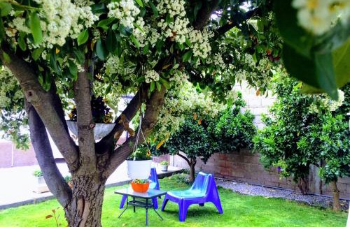 Mirandela Maison | Casa de Férias MariCeu Mirandela