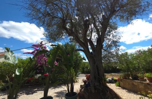 Loule Maison | Casa de ferias Escapadas Casa amorosa Tranquilidade e natureza 1 quarto 6 pessoas