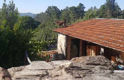 Sao Pedro do Sul Maison | Casa de Lagarto-quinta-nature-B & B