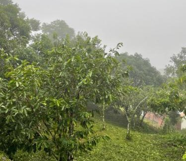 San Ramon Maison | Casa de montaña con vista al océano pacífico
