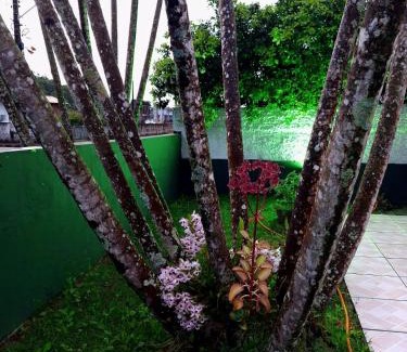 Governador Celso Ramos Maison | Casa de praia