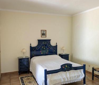 Vila de Frades Maison | Casa de São Cucufate - Casa de Campo