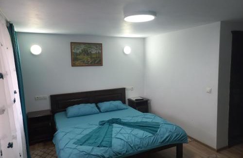 Colibita Maison | Casa de vacanță Perla Colibitei