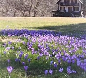 Rucar Chalet De Ski | Casa de vacanta Satic Piatra Craiului La Doi viermi