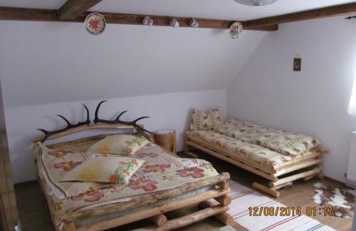Rau Sadului Maison | Casa de vacanta Vidrighin