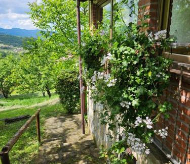 Camerana Appartement | Casa dei Ciliegi