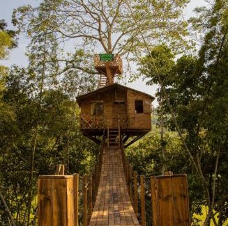 La Pena Autre | Casa del árbol Mirador Peñero