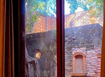 Sin Nombre Loc. San Blas Hôtel | Casa del Arbol