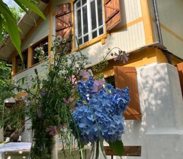 Saturnana Maison | Casa del Castagno: un nido nel castagneto